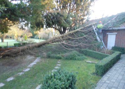 Chute d'un arbre sur habitation