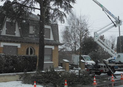 Elagage d'arbre à proximité d'une habitation