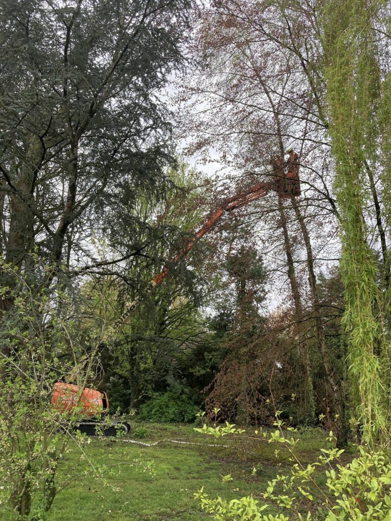 Chantier d'élagages sur la commune de Sailly sur la lys